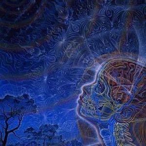 Meet your Posher, Peter